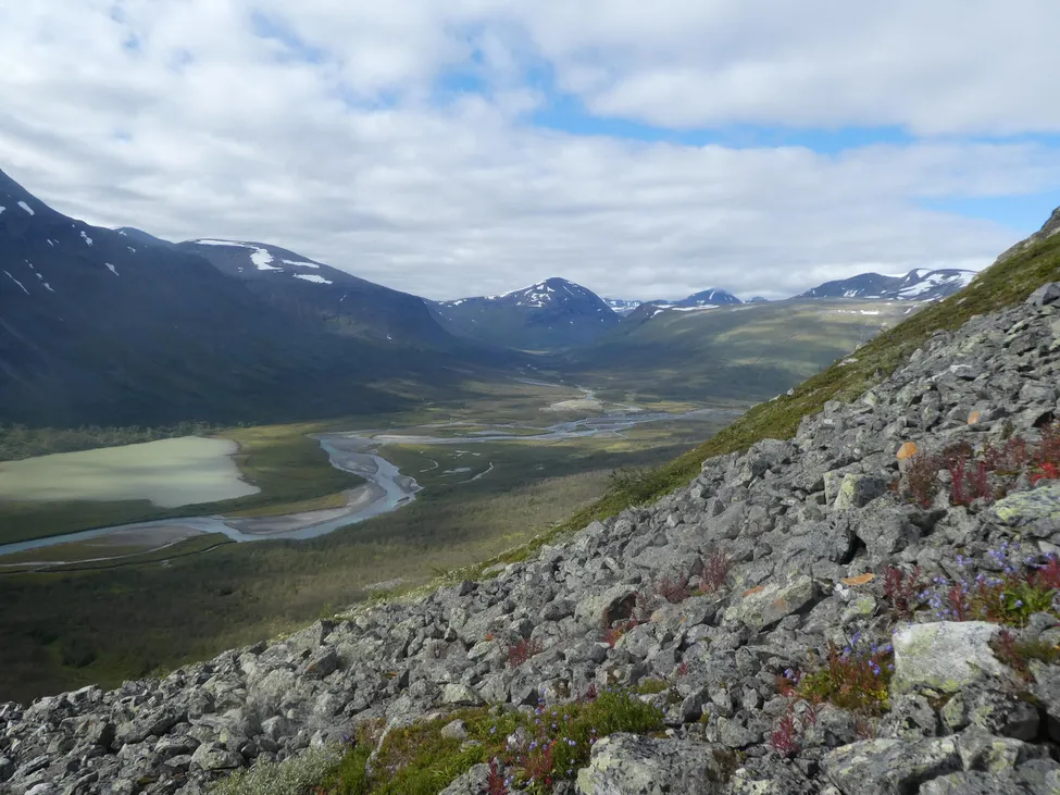 Klicka för att förstora