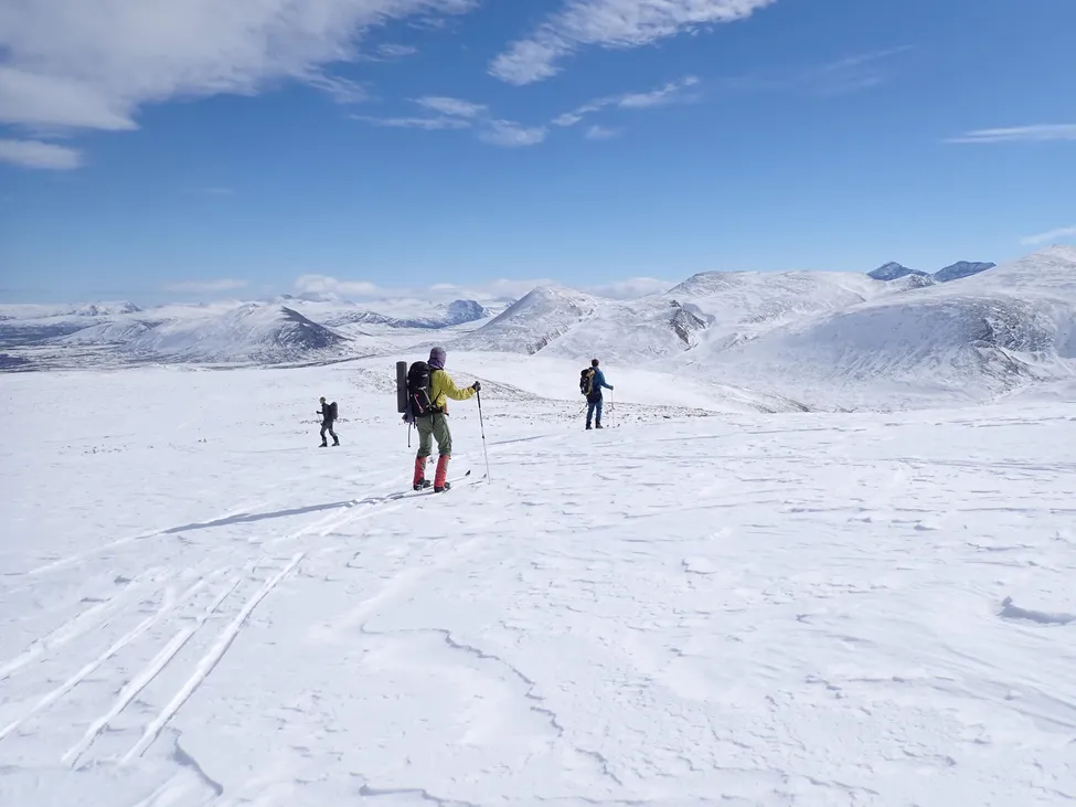 Klicka för att förstora