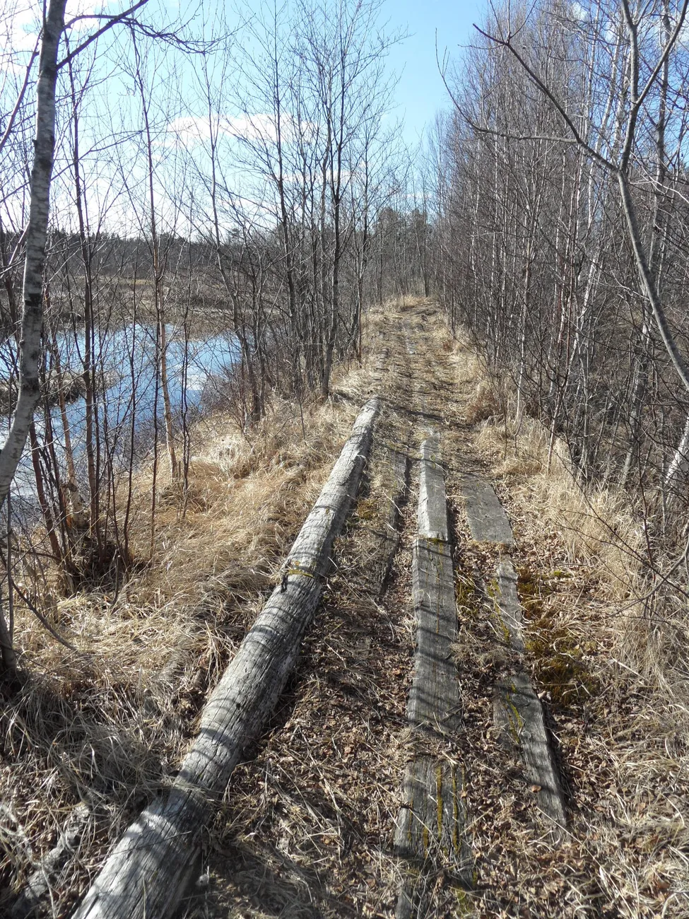 Klicka för att förstora