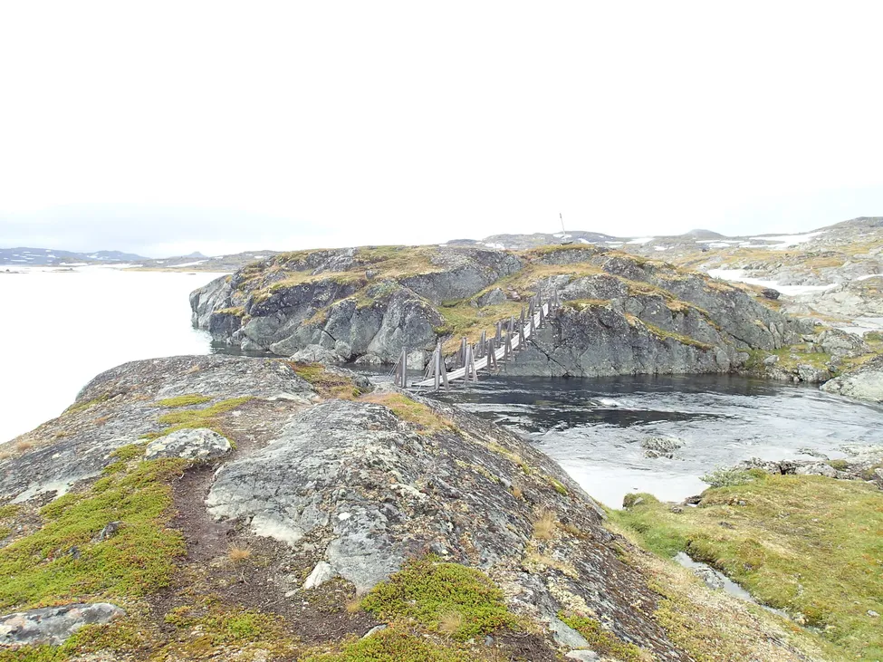Klicka för att förstora