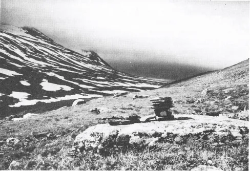 Solovandring i ödslig fjällvärld (1)