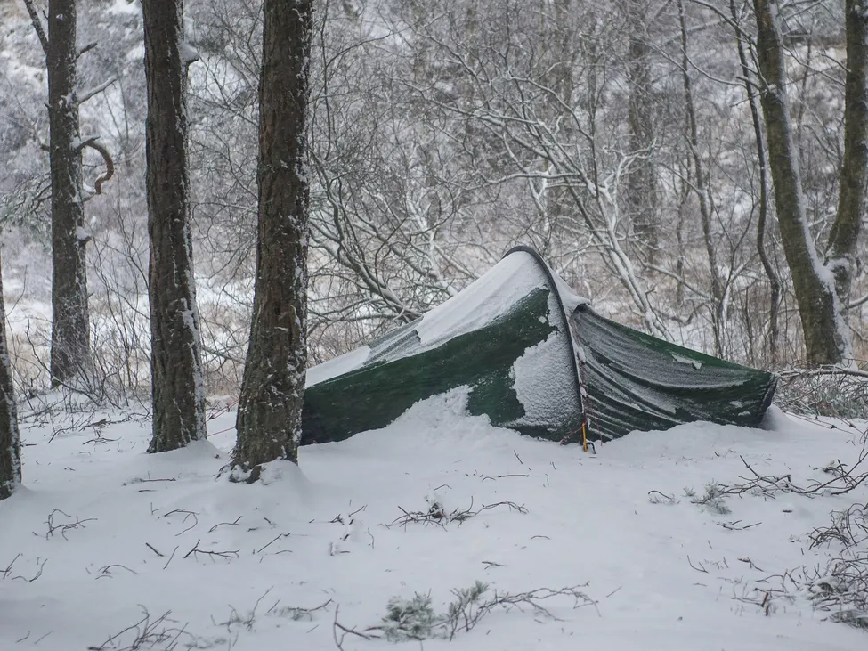 Klicka för att förstora