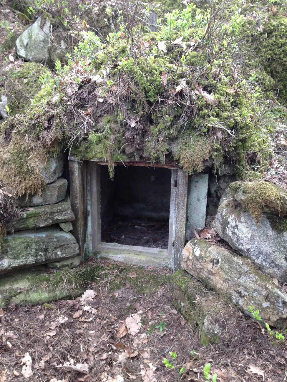 Klicka för att förstora