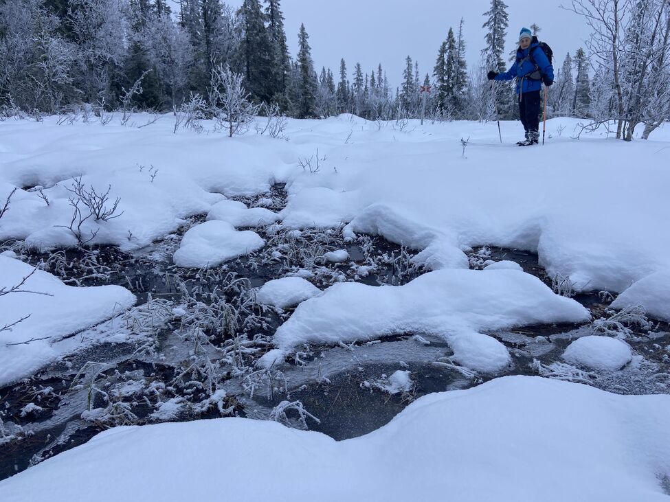 Klicka för att förstora