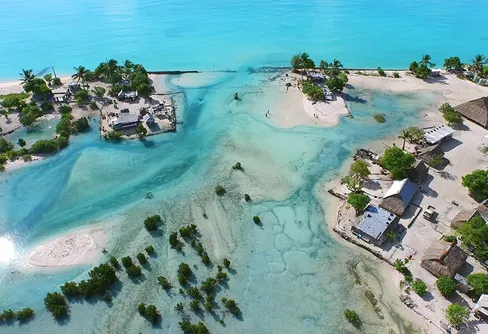 Filmfestivalen Jord tillbaka i november