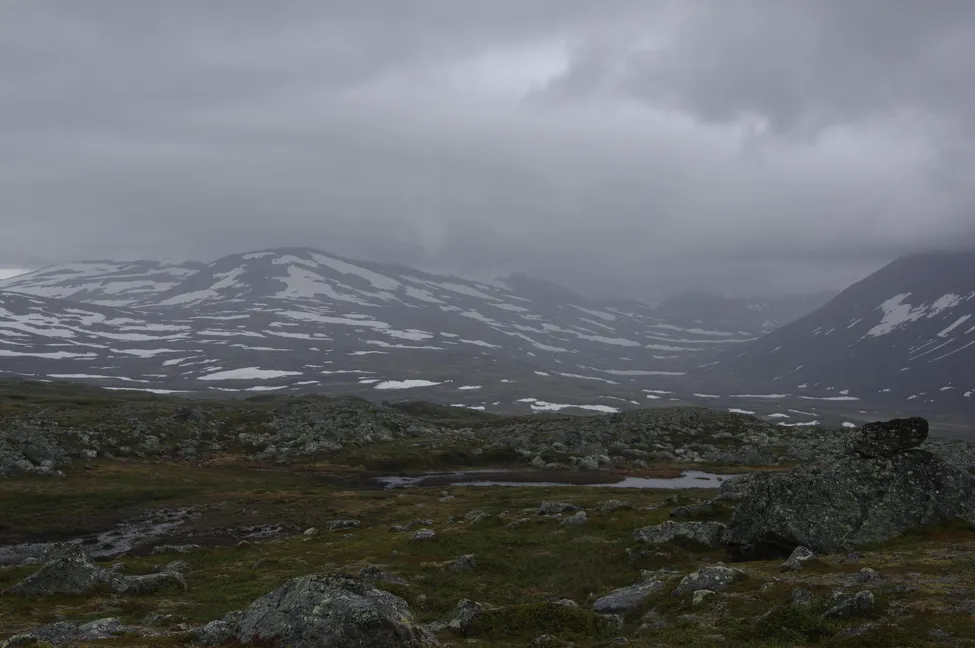 Klicka för att förstora