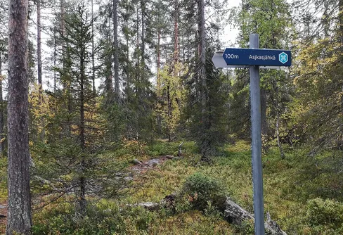 Muddus - nere i ravinen