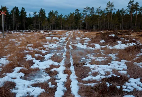 Januarivandring i Gyllbergen
