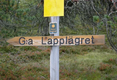 Fjällvandring 2008 - Höst i Femundsmarka