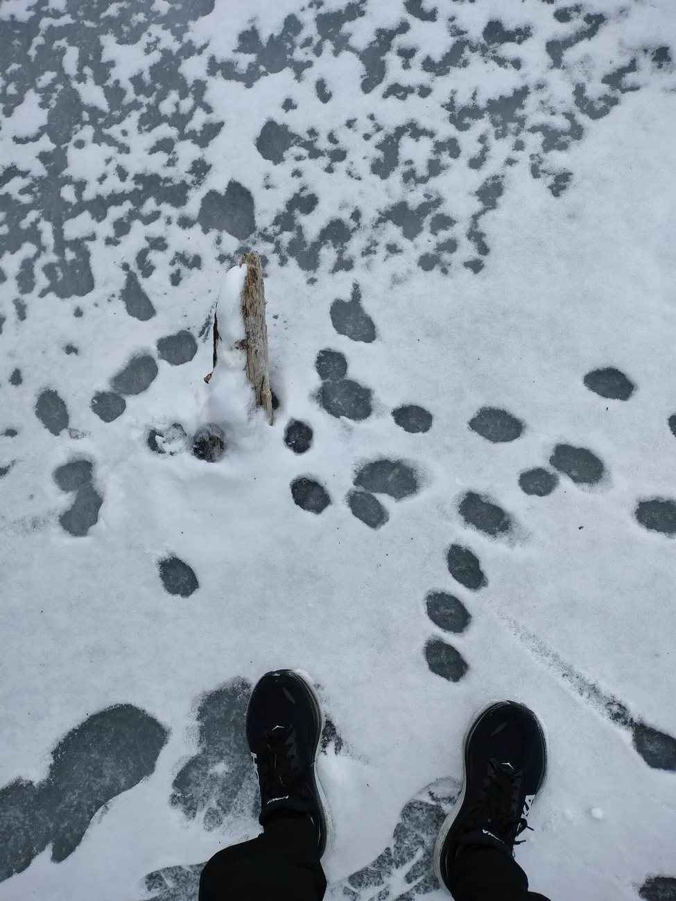 Klicka för att förstora