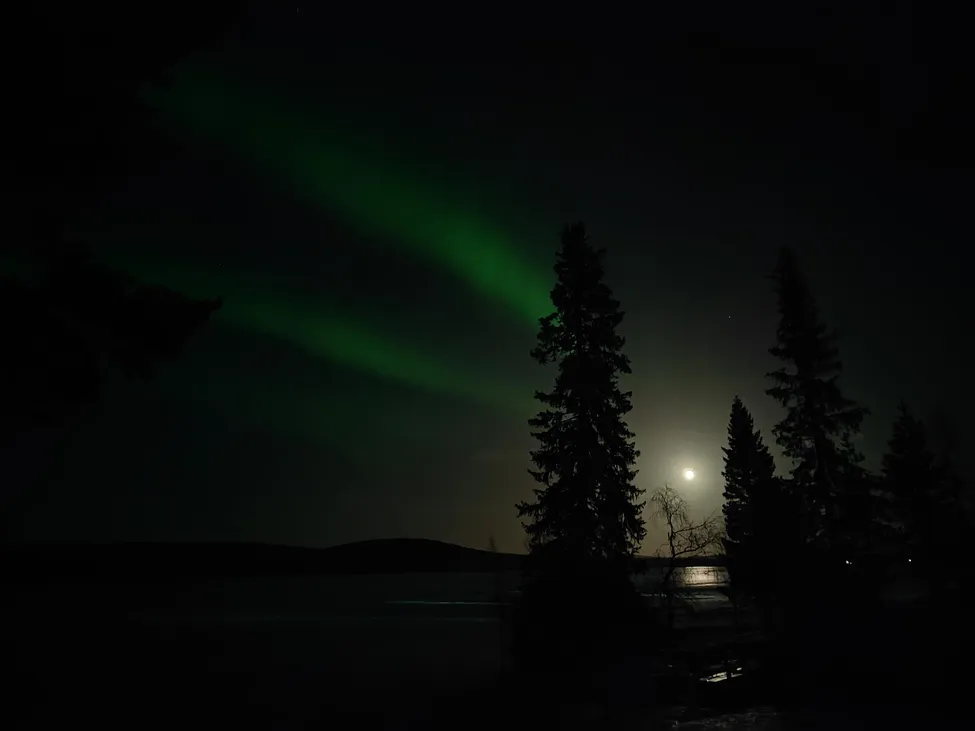 Klicka för att förstora