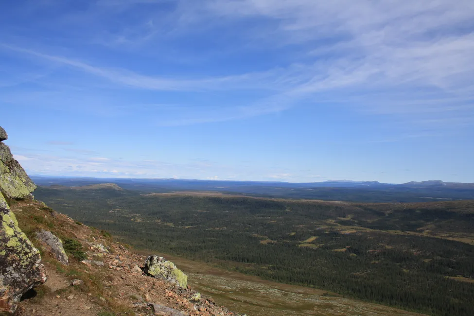 Klicka för att förstora