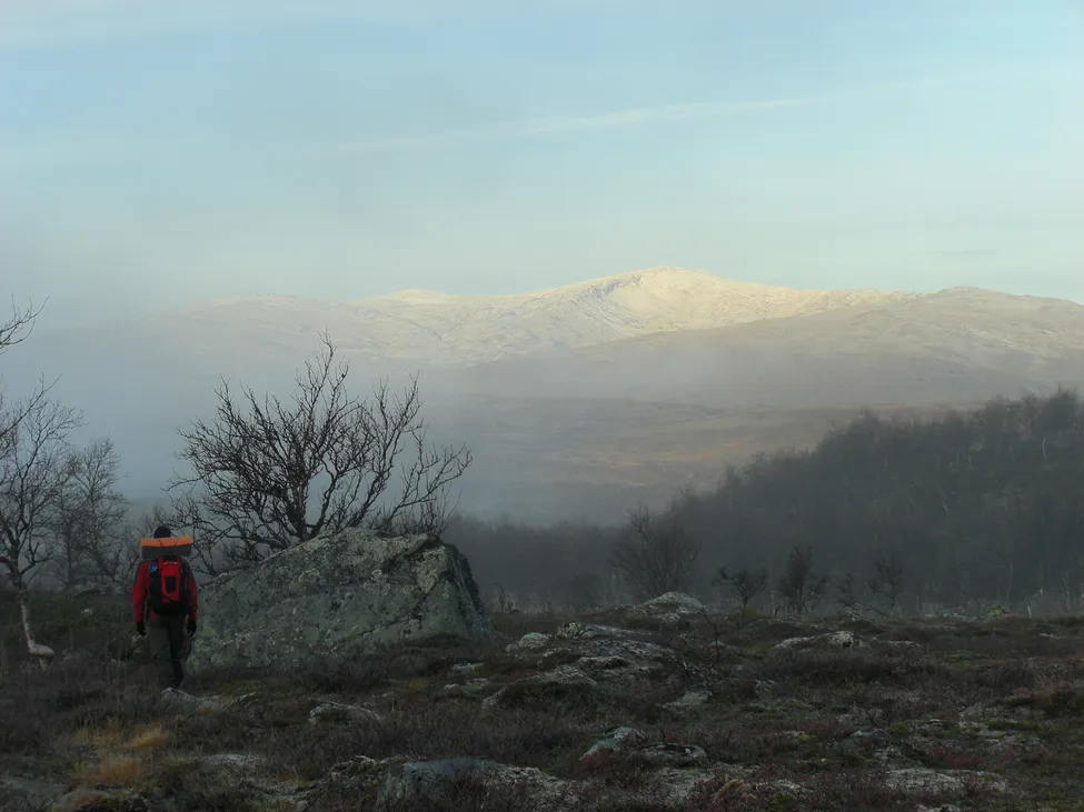 Klicka för att förstora