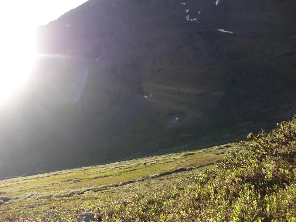 Klicka för att förstora