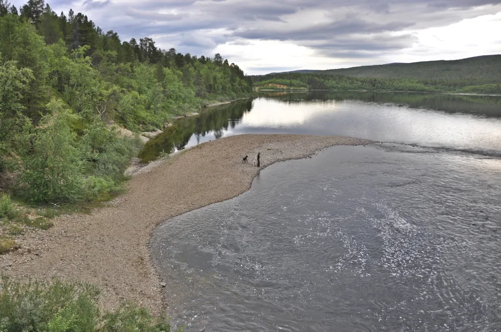 Klicka för att förstora
