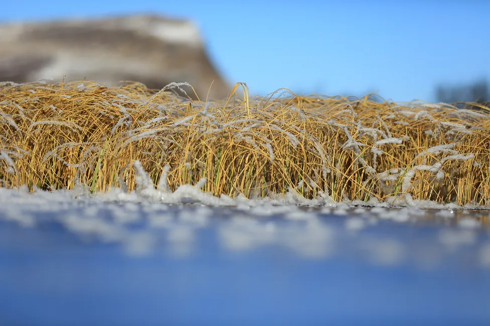 Klicka för att förstora
