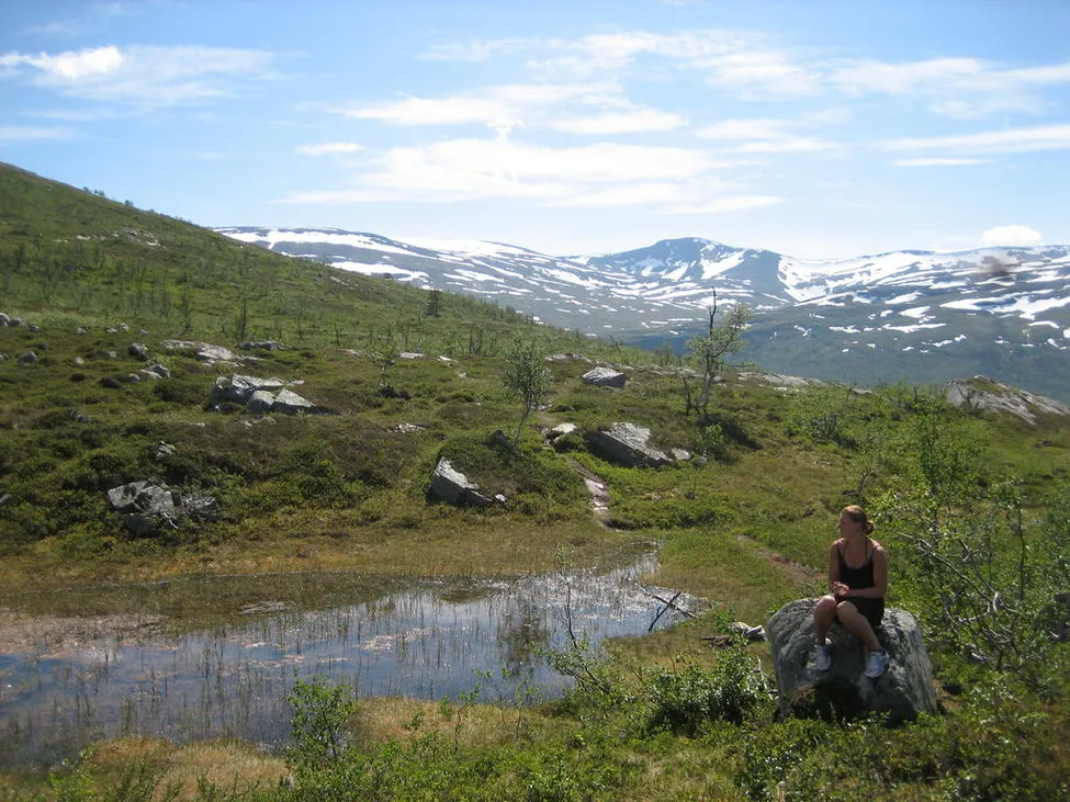 Klicka för att förstora
