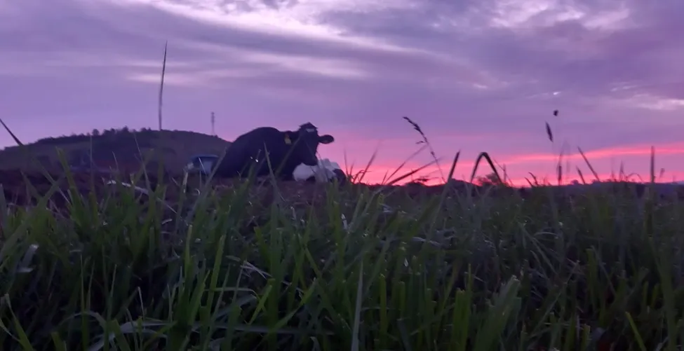 Klicka för att förstora