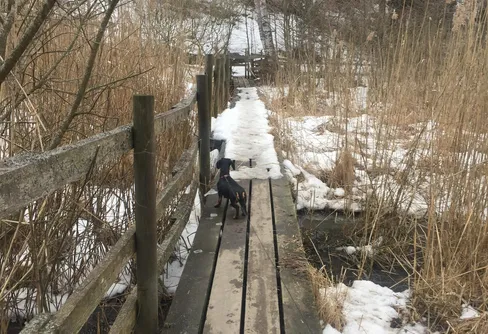 Vandring 11,6 km rundslinga Norrviken - Järvafältet - Norrviken