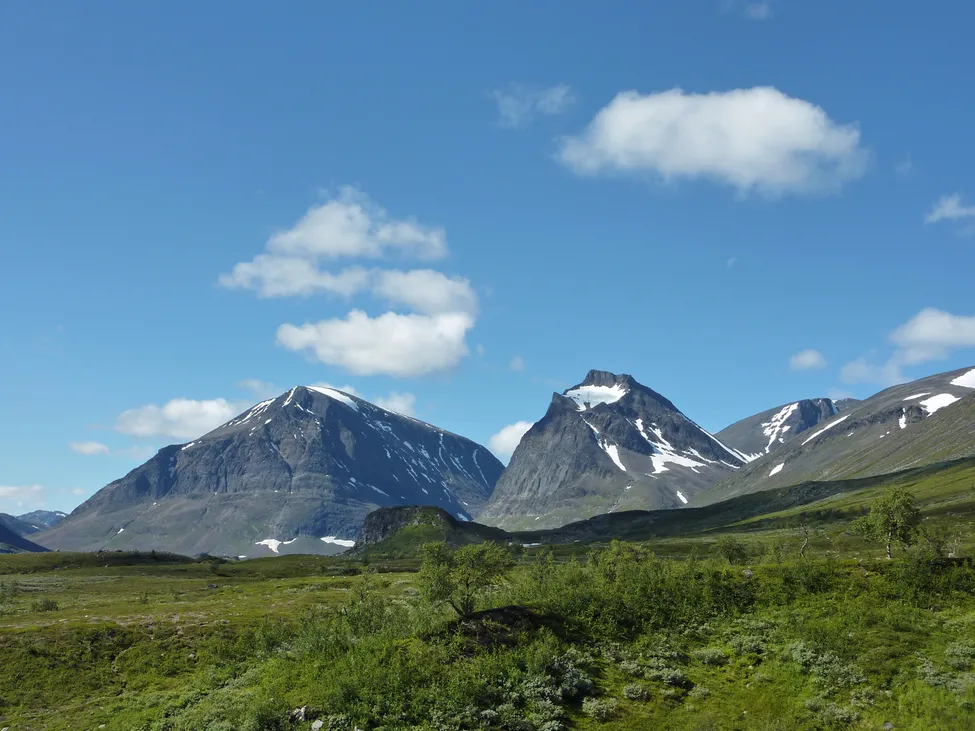 Klicka för att förstora