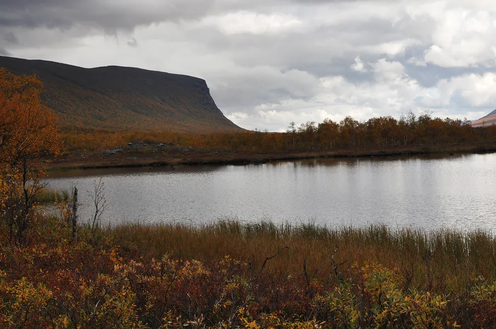 Klicka för att förstora