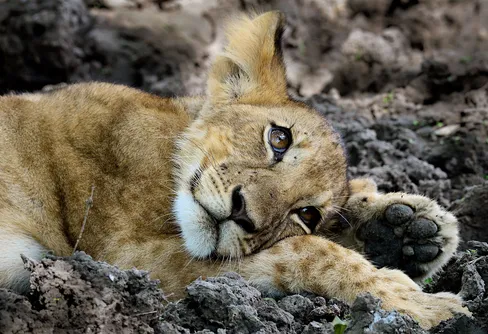 Fotoutställning - Vår tid på jorden