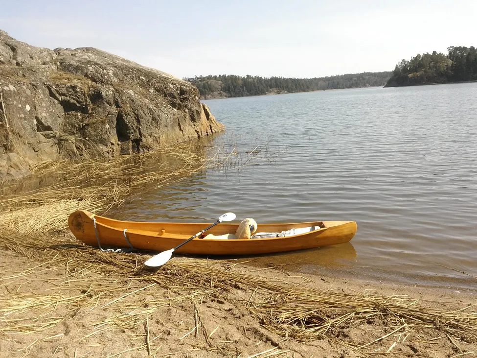 Klicka för att förstora