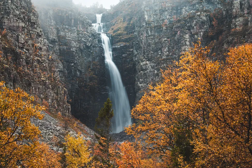 Klicka för att förstora