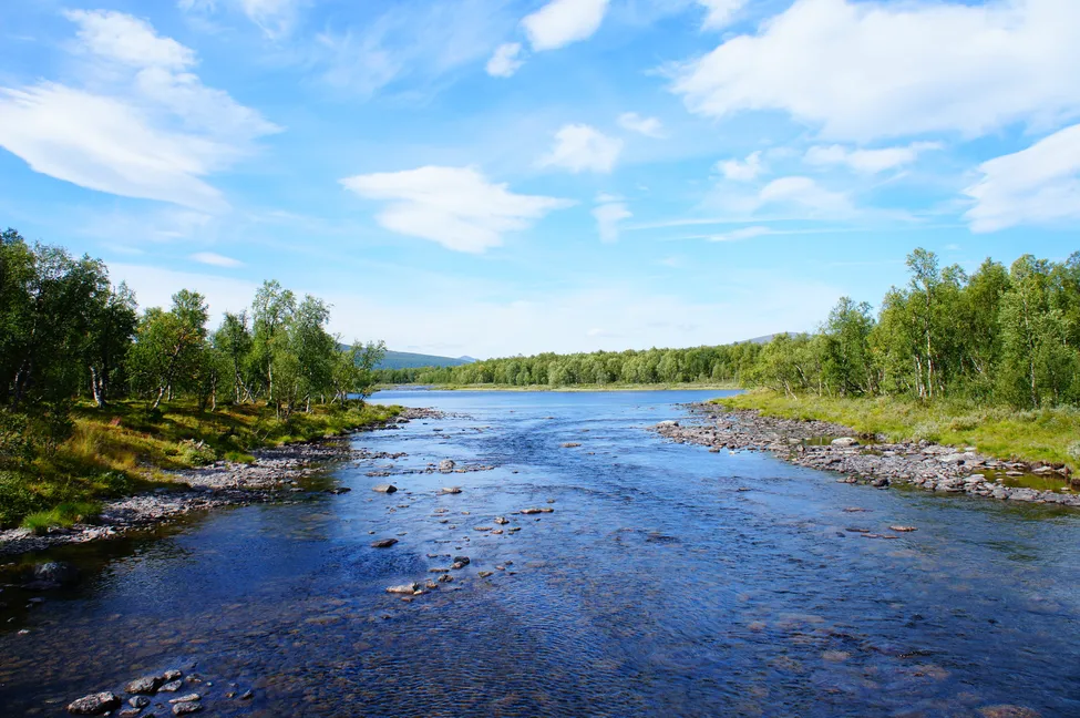 Klicka för att förstora