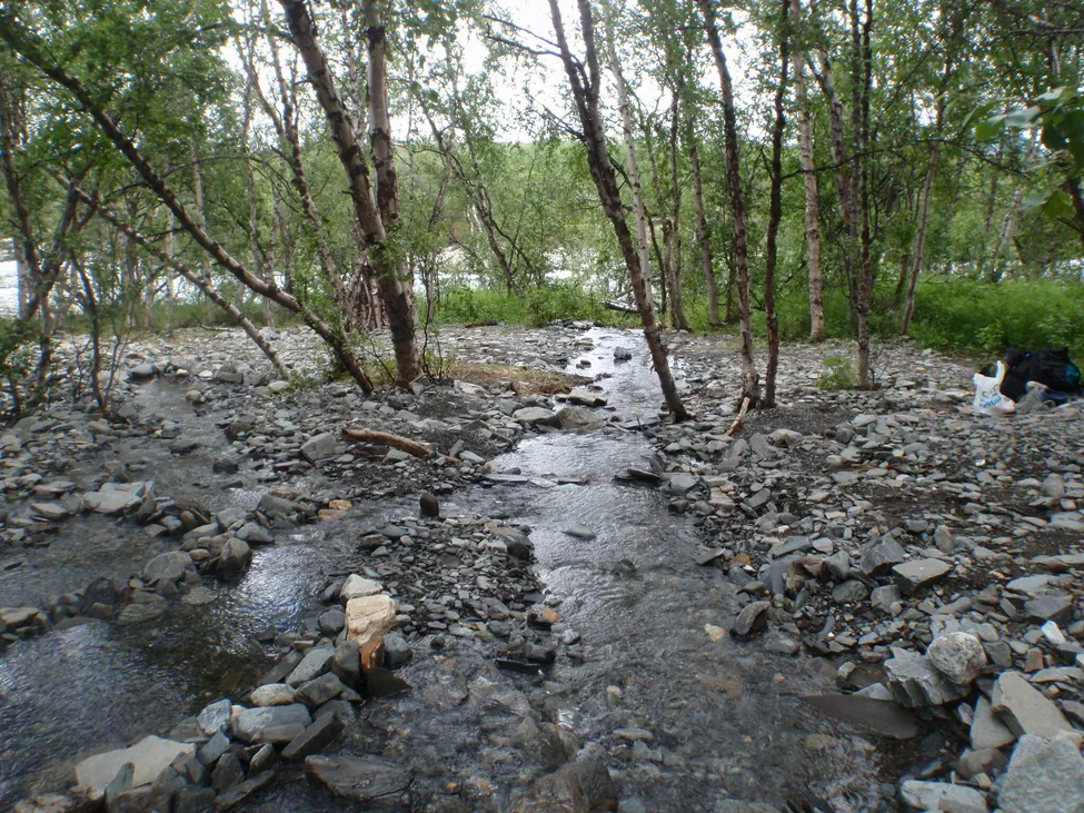 Klicka för att förstora