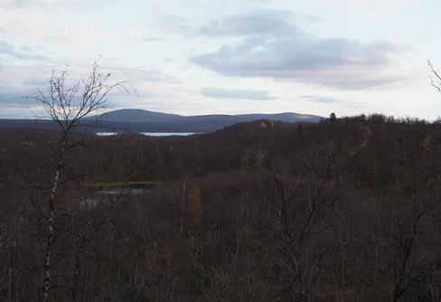 En höstvandring i Kevo naturreservat.