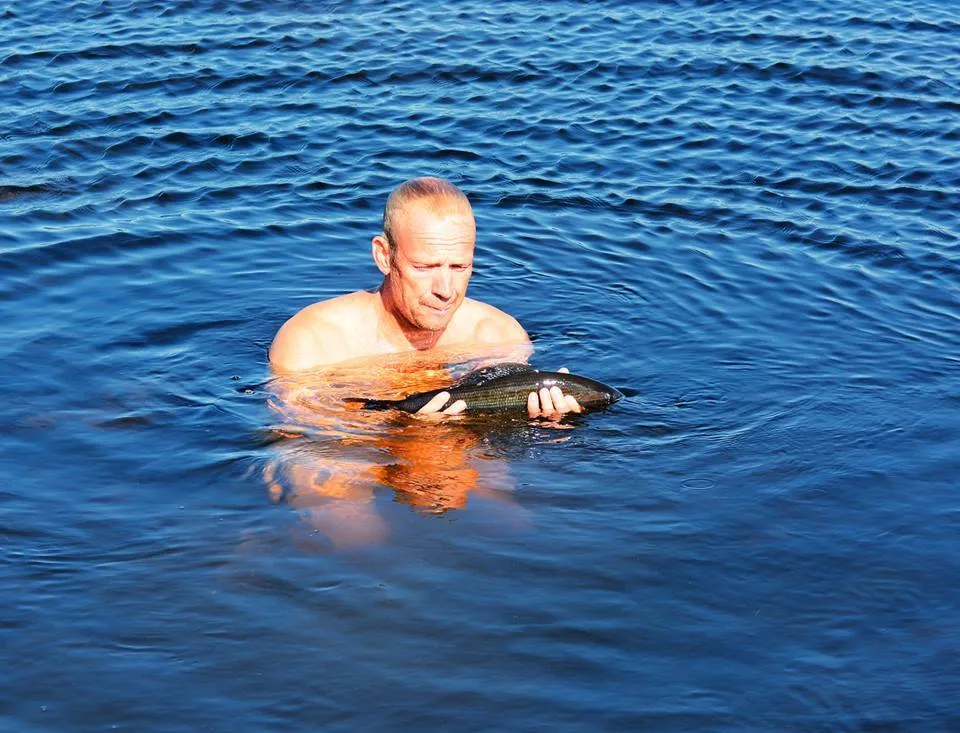 Klicka för att förstora