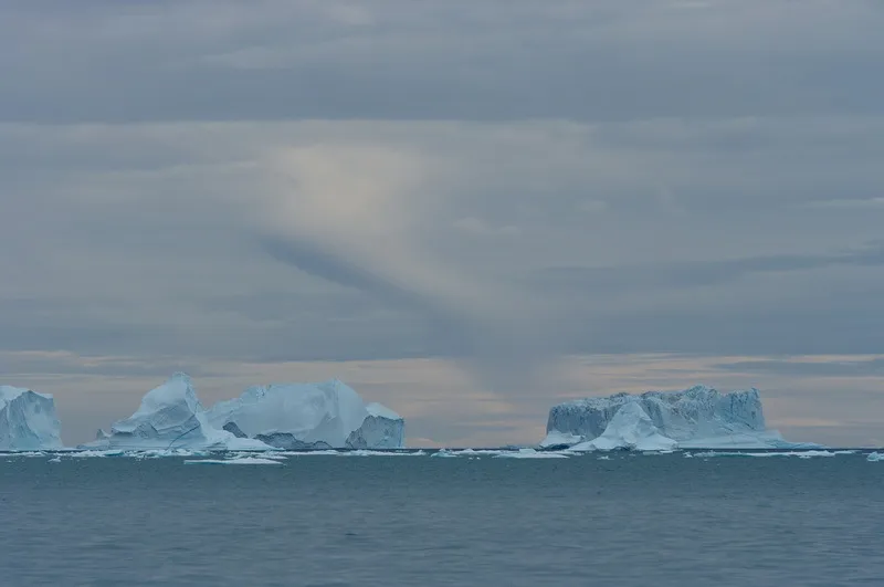 Klicka för att förstora