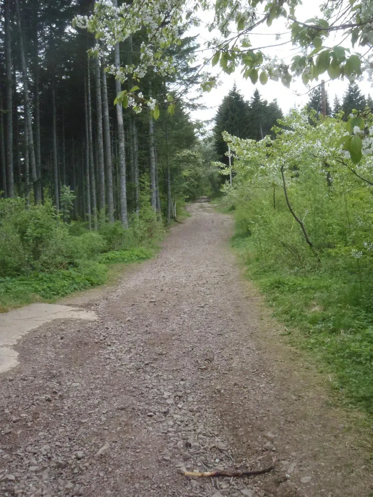 Klicka för att förstora