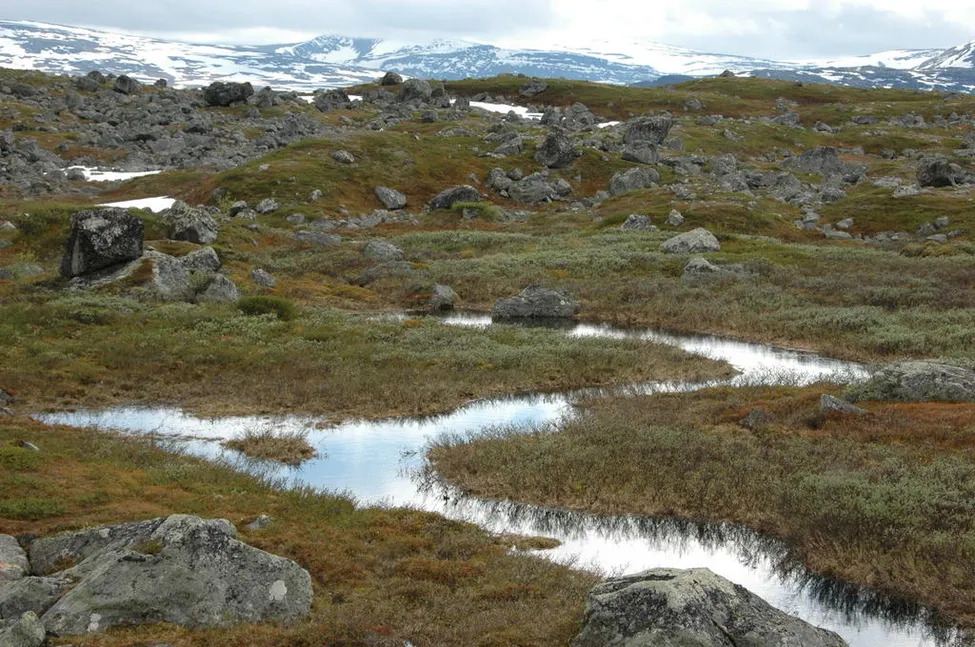Klicka för att förstora