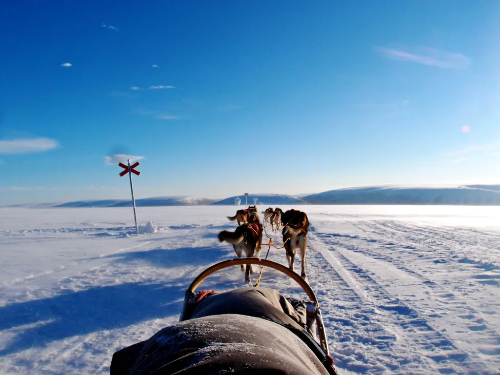 Klicka för att förstora