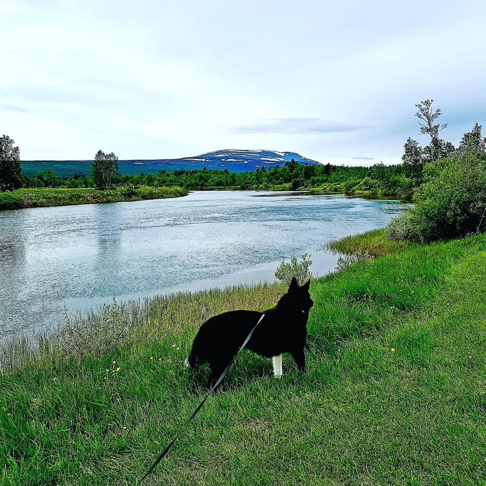 Klicka för att förstora