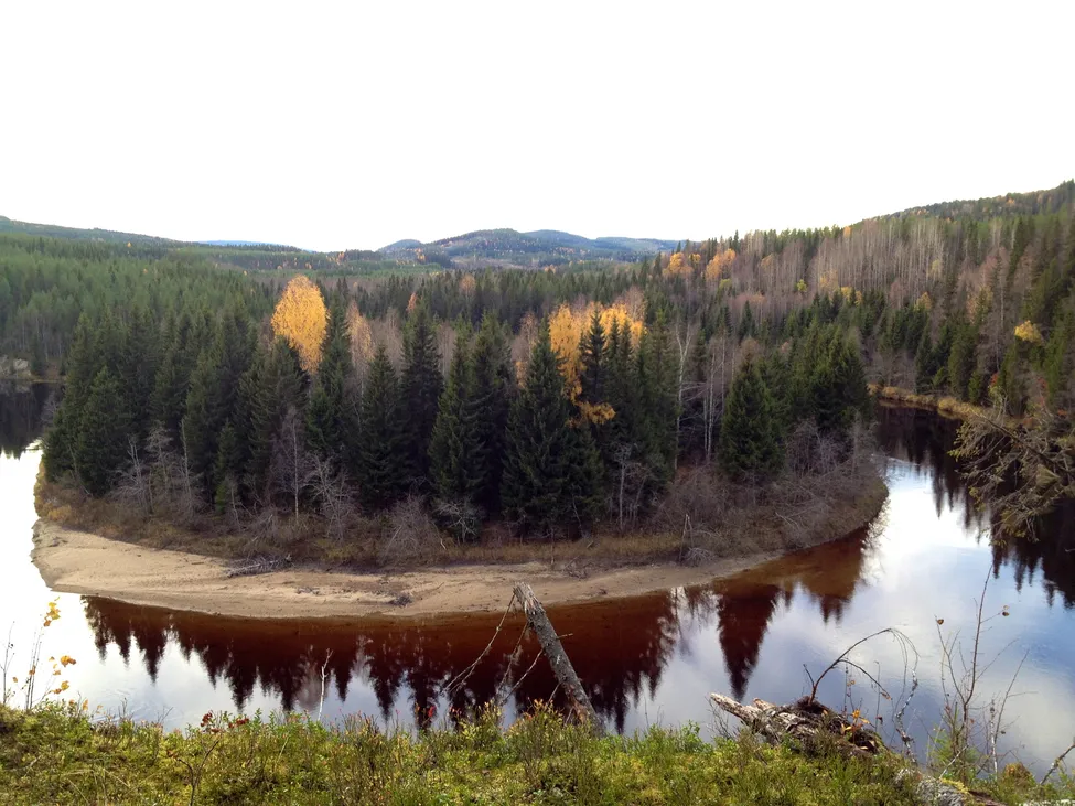 Klicka för att förstora