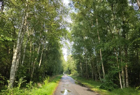 Ø-CAMINO PÅ LÆSØ