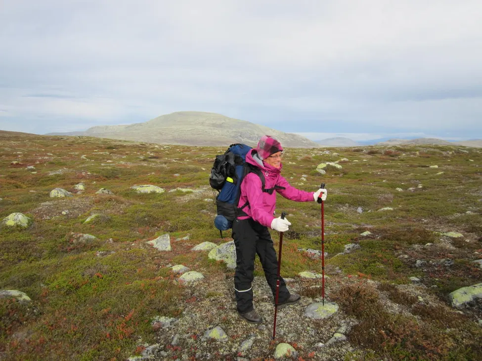 Klicka för att förstora