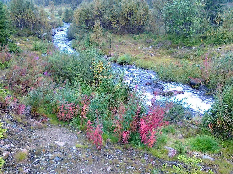 Klicka för att förstora