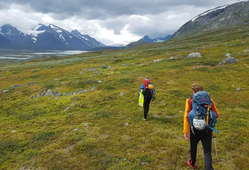 Återförening med Sarek x2