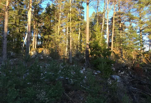 Fredagskväll i Enantältet...