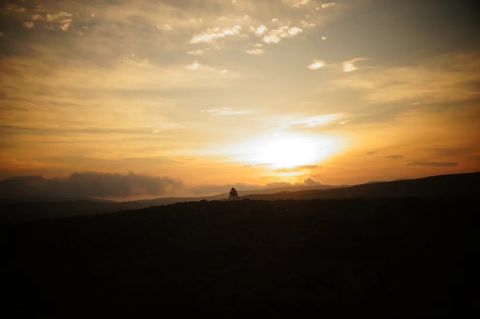 Klicka för att förstora