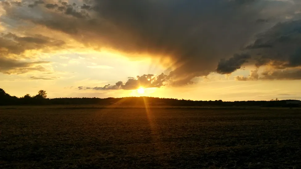 Klicka för att förstora