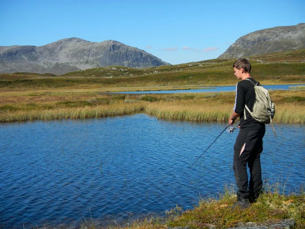 Klicka för att förstora