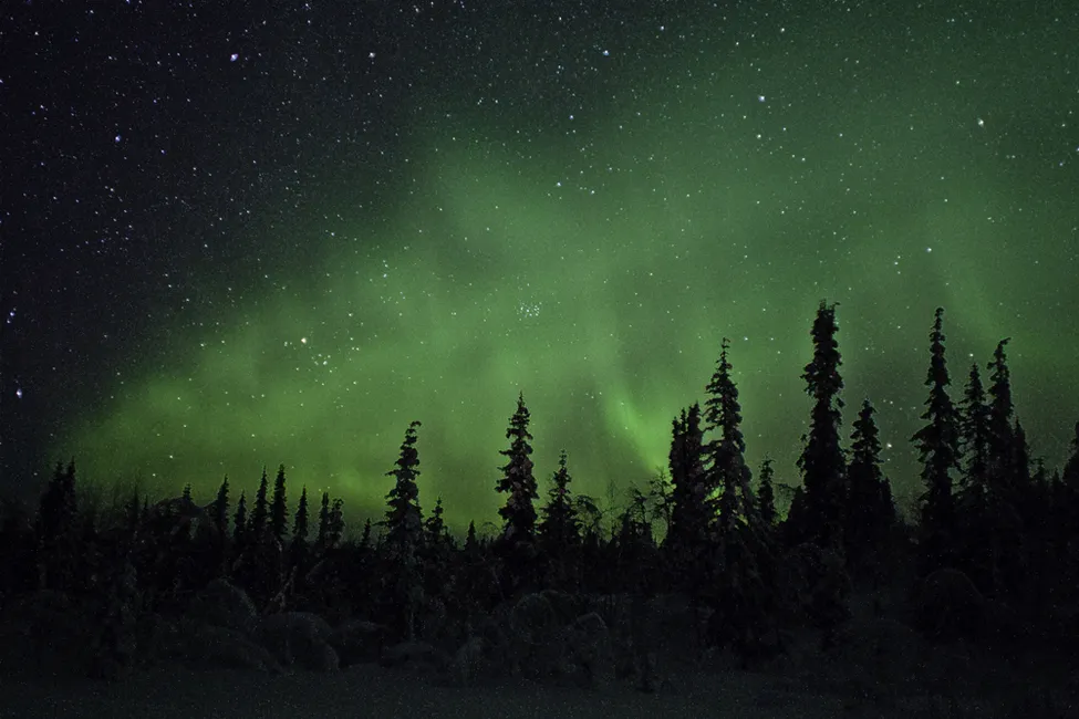 Klicka för att förstora