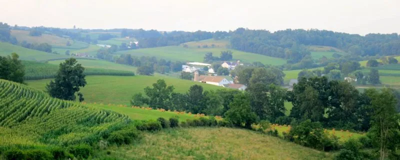 Klicka för att förstora