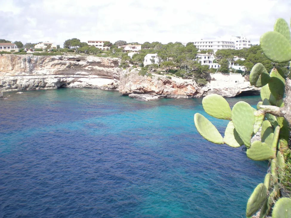 Klicka för att förstora