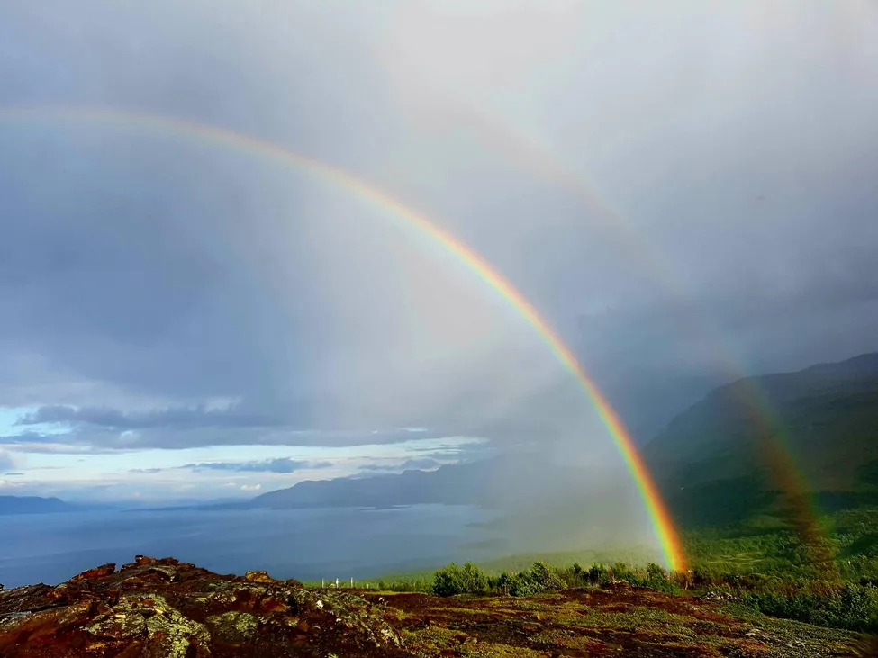 Klicka för att förstora